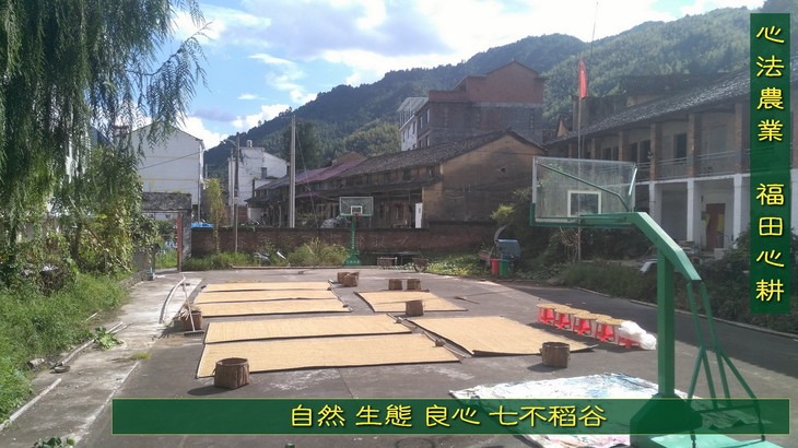 盤點2019十大品牌營銷“翻車”事件：尷尬，且行且珍惜…