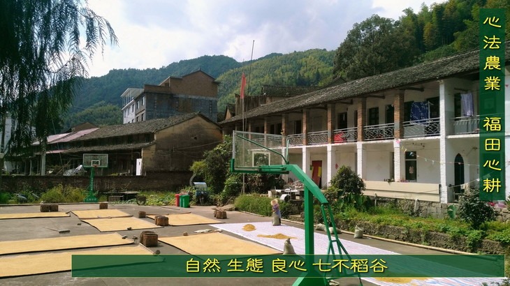盤點2019十大品牌營銷“翻車”事件：尷尬，且行且珍惜…