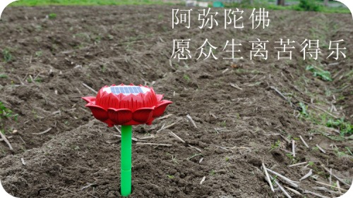 推廣費花了卻沒效果?且看網絡營銷推廣投放策略制定