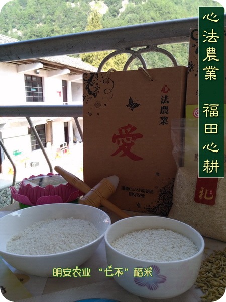推廣費花了卻沒效果?且看網絡營銷推廣投放策略制定
