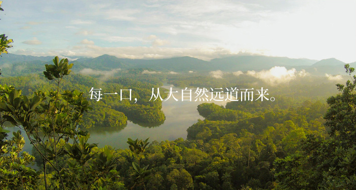 百草味pk三只松鼠，別等品牌長大，才后悔沒打牢基礎