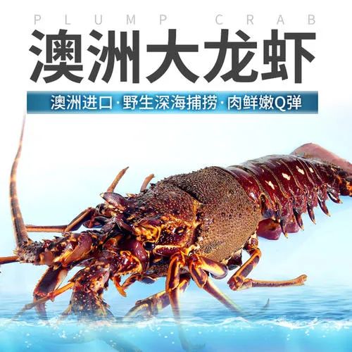 品牌抉擇難題：一個品牌到底是聚焦單品還是多個產品好？