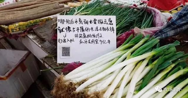 地攤經濟學：文案高手果真在民間！