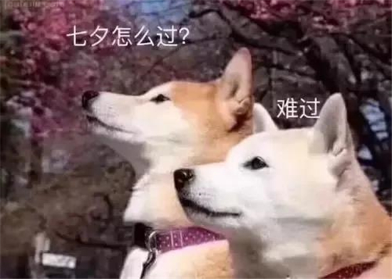 七夕文案還能怎么寫？酸臭土味濃~