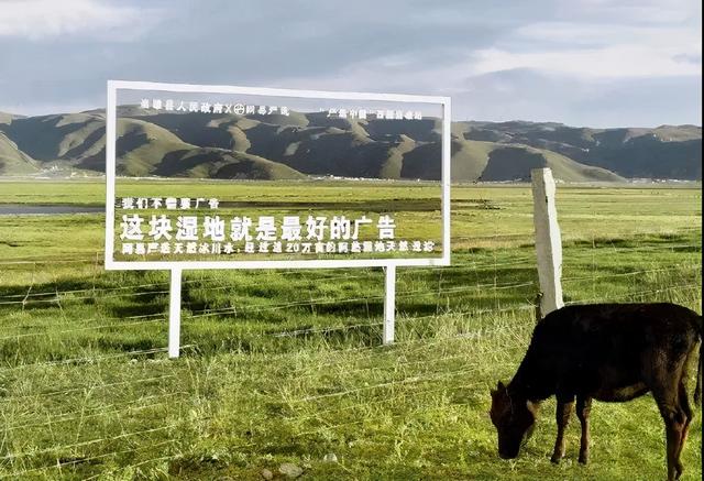 品牌做戶外媒體廣告差異化營銷傳播的五個思路
