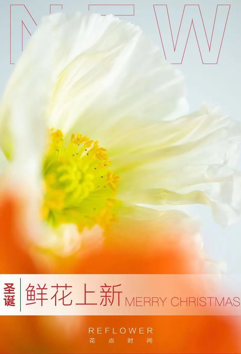 鳥哥筆記,品牌策略,李倩,策略,互聯網,品牌