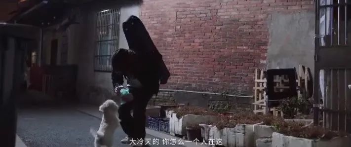 春節營銷案例：內容營銷怎么玩？瘋狂小狗打造暖心跨年寵物場景