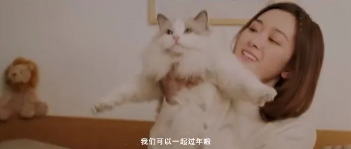 春節營銷案例：內容營銷怎么玩？瘋狂小狗打造暖心跨年寵物場景