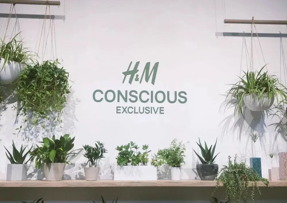 品牌如何通過社會理念營銷，搭建自己的信任體系？
