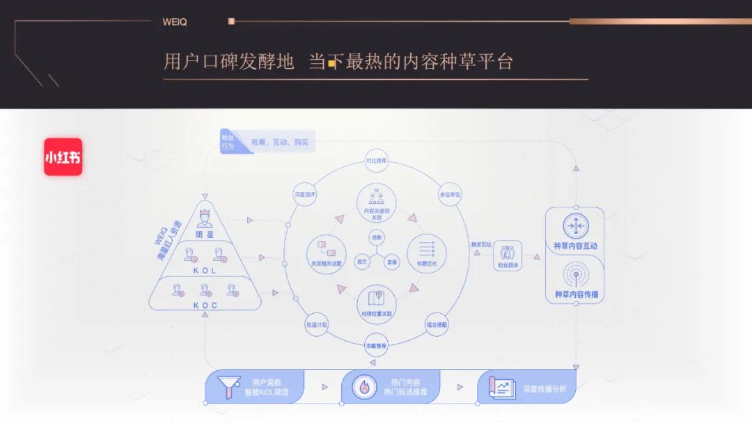 網紅，成為營銷主戰場