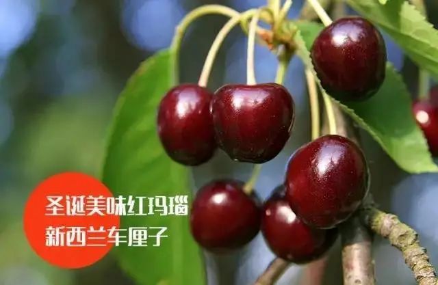 5大心理學效應拆解，破譯品牌營銷密碼