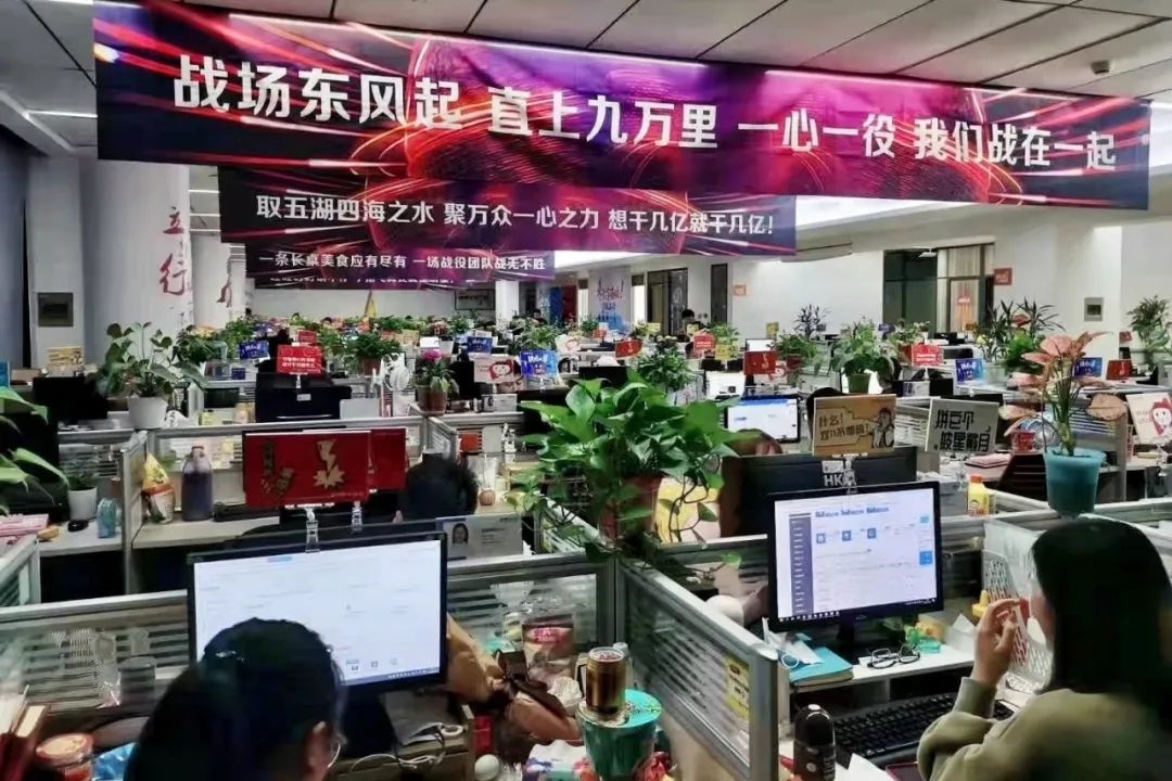新消費品牌雙11生意經：抖音小紅書做網紅，天貓做成交