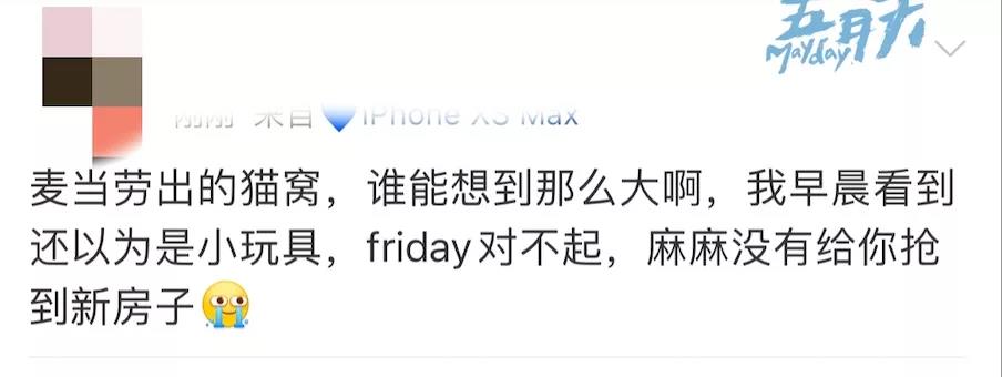 麥當勞貓窩的品牌營銷創新思考 - 第8張