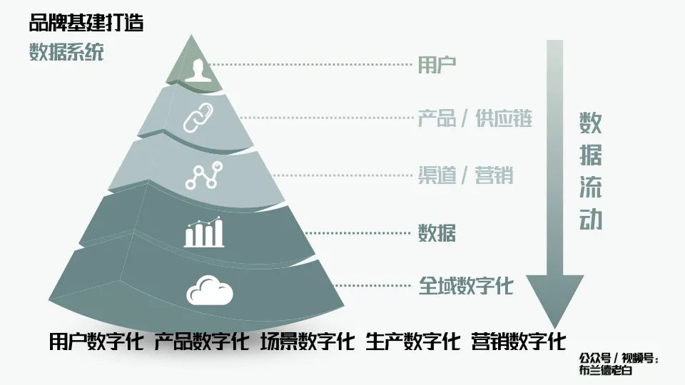 萬字解析品牌全域增長模型