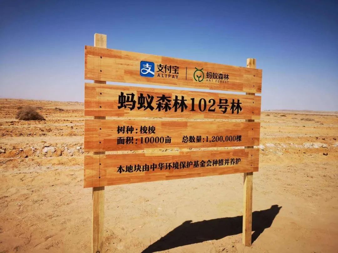 空手：公益營銷的策略與方法