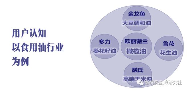 品牌5A用戶思維下的全域種草三階段：產品、破圈、心智