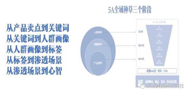 品牌5A用戶思維下的全域種草三階段：產品、破圈、心智