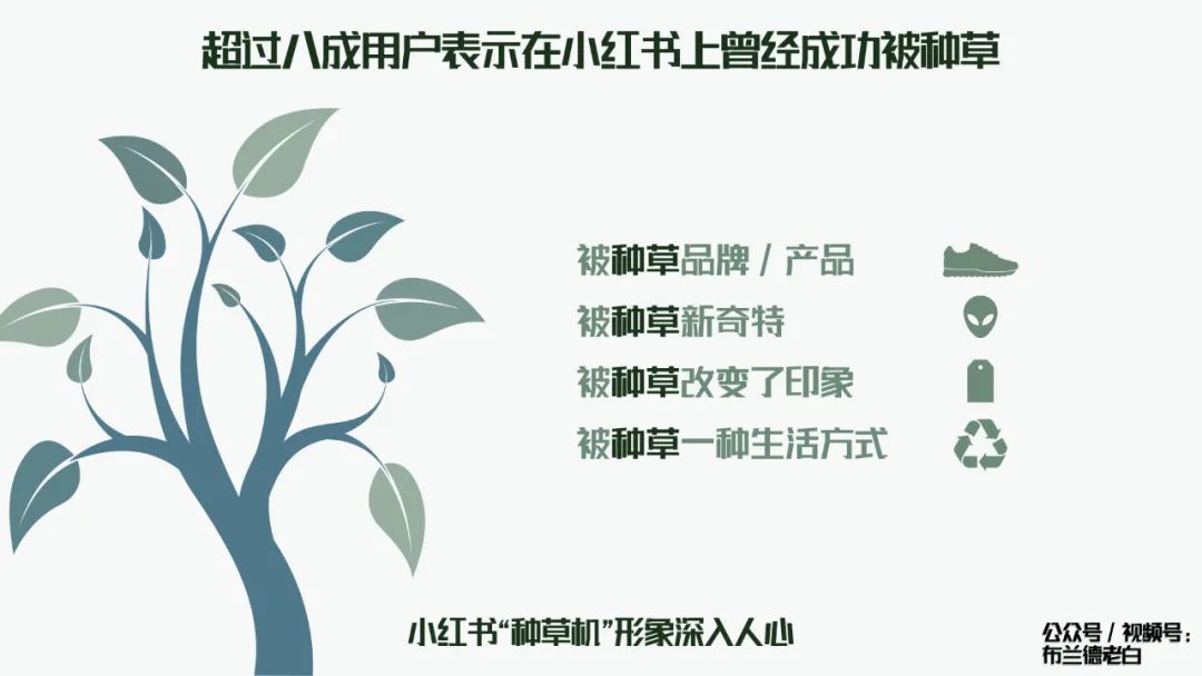 品牌小紅書種草割草指南：人群畫像、種草、勸服邏輯、割草模型