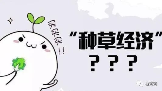 什么是種草營銷？從“種草式”文案開始