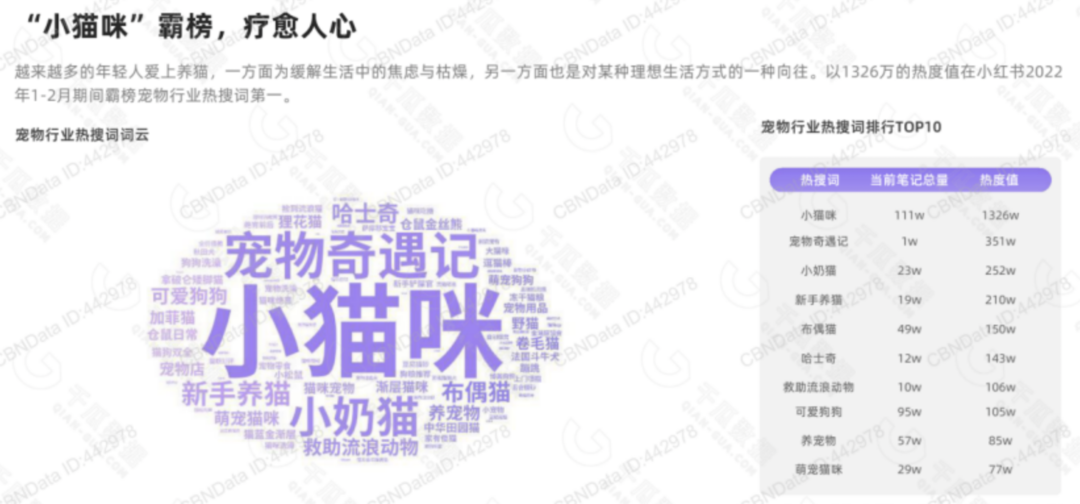 5000字講透，寵物商家如何在小紅書成長？