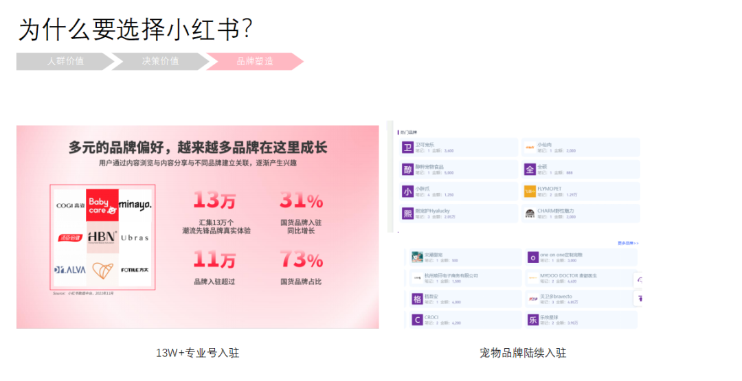 郝波老師對話江河：寵物品牌在小紅書應該怎么玩？