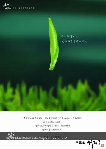 品牌30講之4 | 品牌與品類的能級躍遷