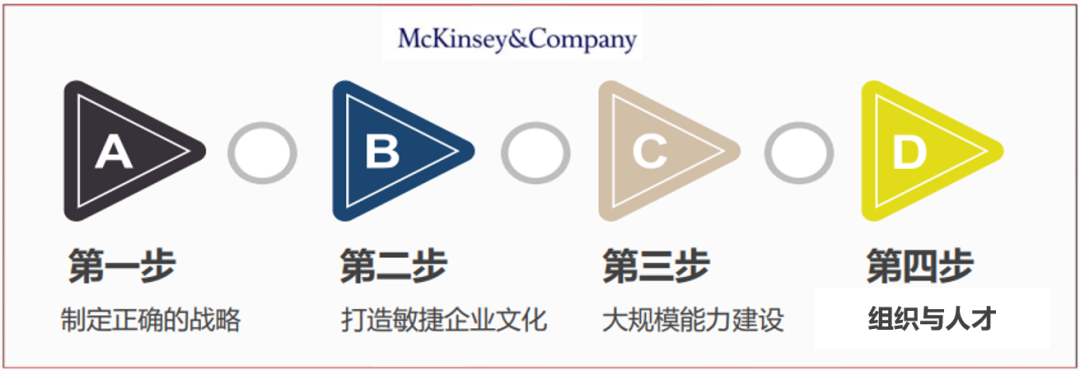麥肯錫研究：數字化轉型四步法！