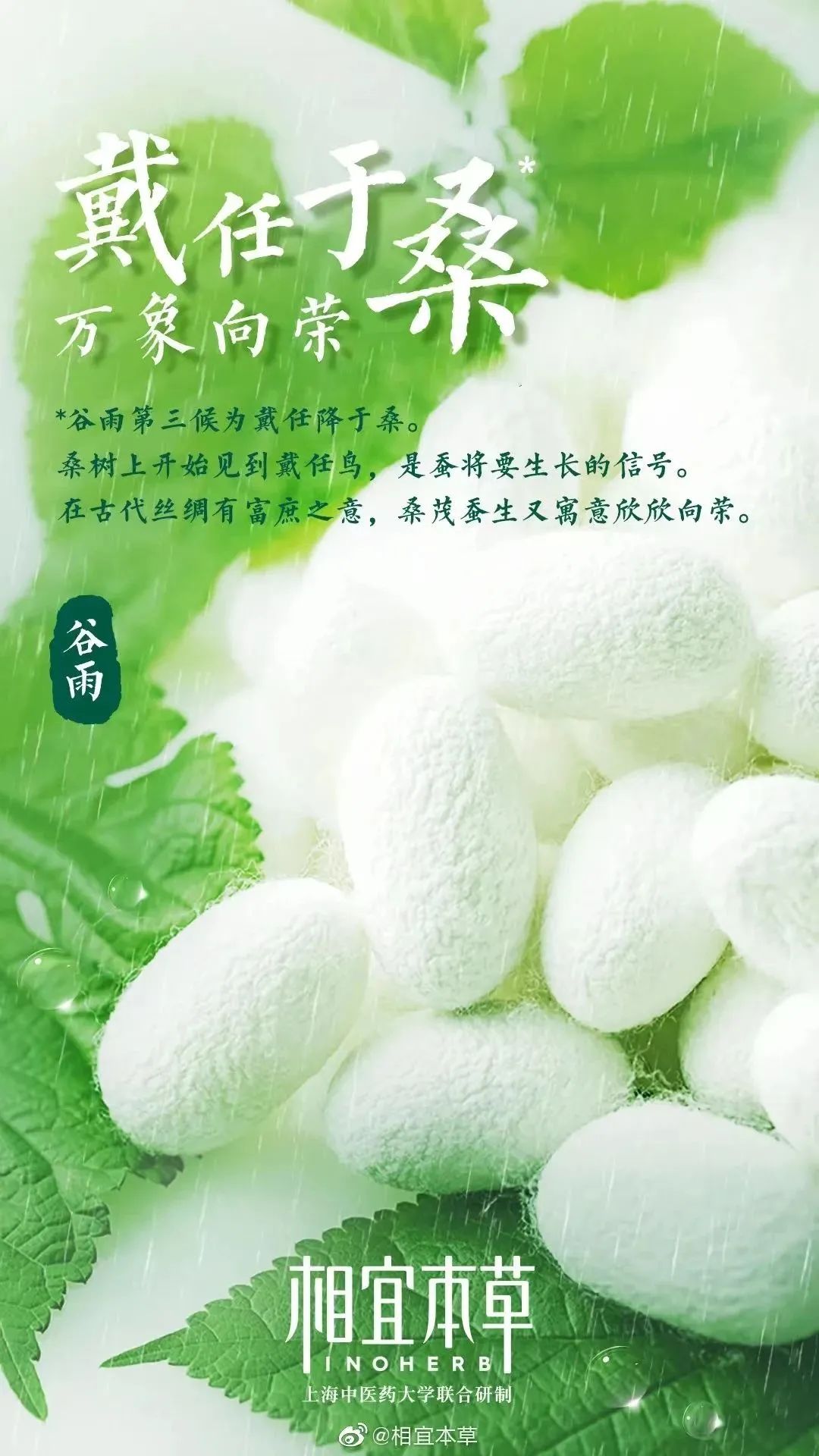 夏天即將來臨，品牌如何玩轉四月營銷？