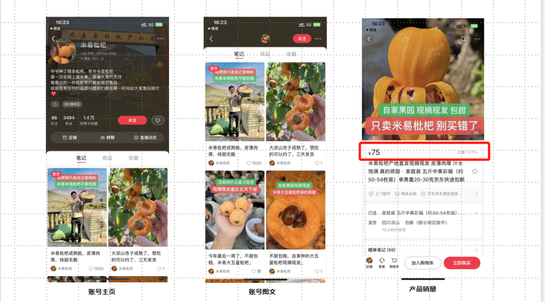 一文讀懂7類商家，小紅書營銷方案|清醒頭腦版