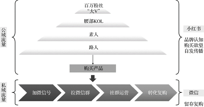 DTC品牌