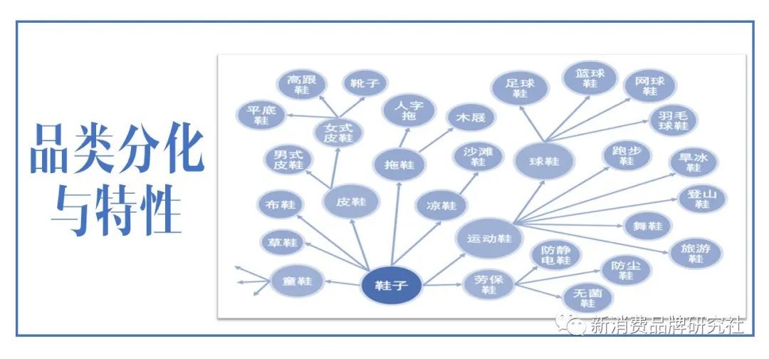 5A、護城河、品類分化...品牌20個增長模型