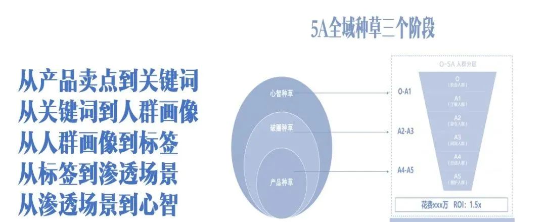 5A、護城河、品類分化...品牌20個增長模型