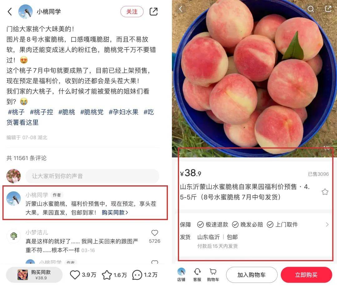 一文講透！小紅書營銷組件及評論區組件閉環收割玩法！