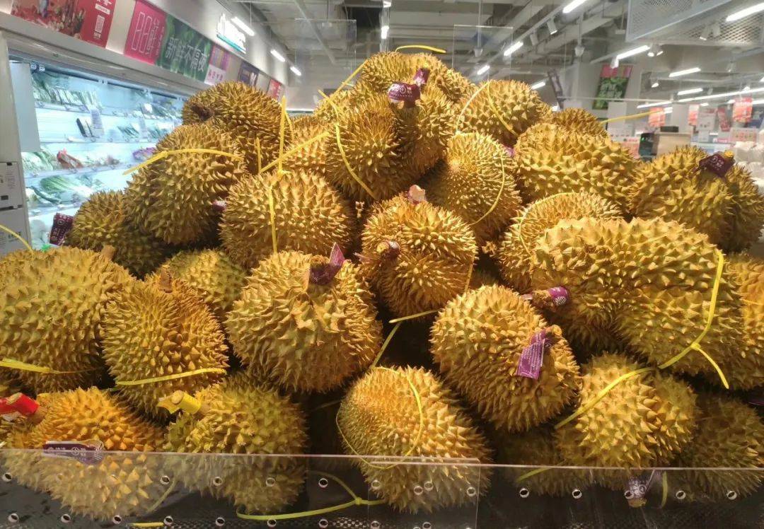 盒馬以“折扣店模式”對戰山姆，勝算有多大？