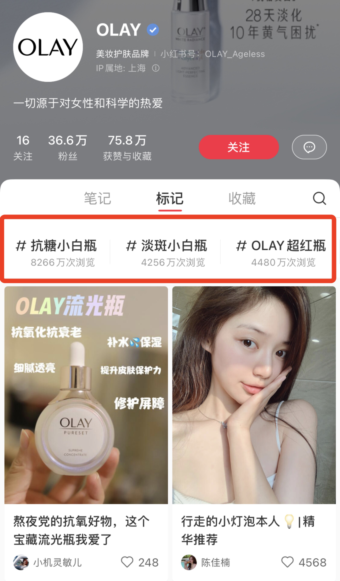 小紅書專業號