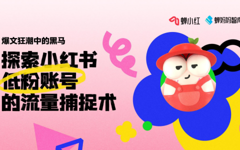 蟬媽媽智庫《小紅書低粉絲賬號的流量捕捉術》