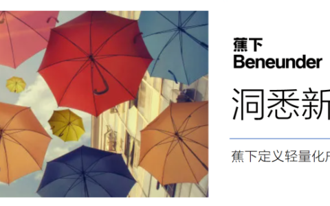 跟蕉下學品牌洞察和策略梳理（附品牌策略PPT案例）