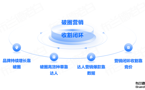 品牌在抖音破圈到收割的完整閉環